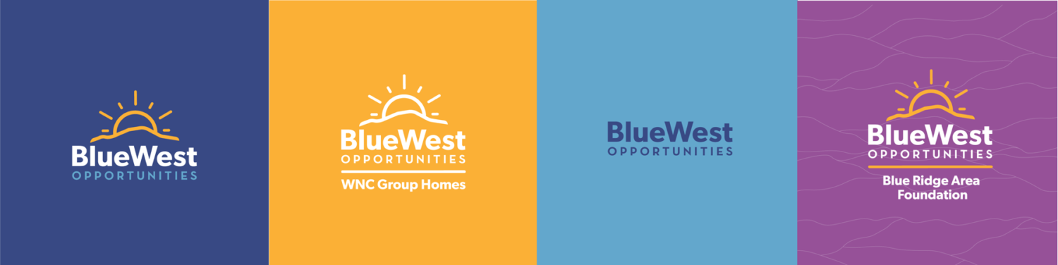 BWO Brand Color Palette