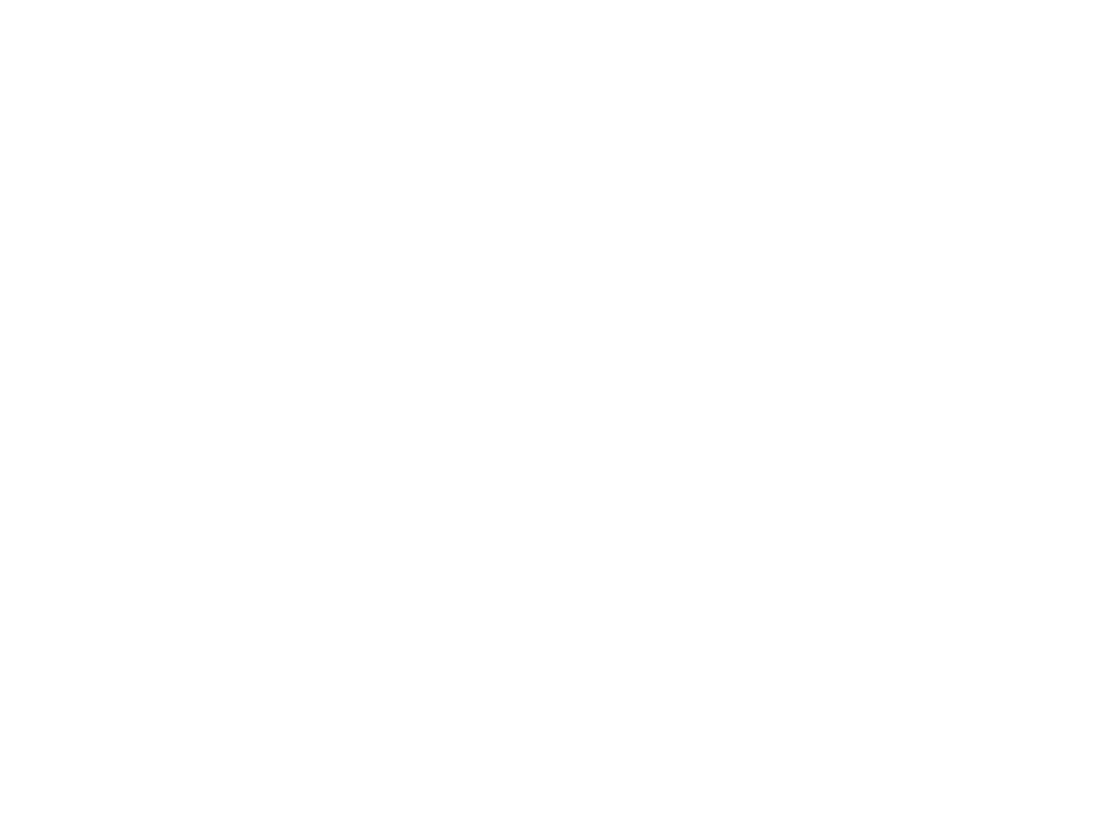 Campaign for Southern Equality Logo