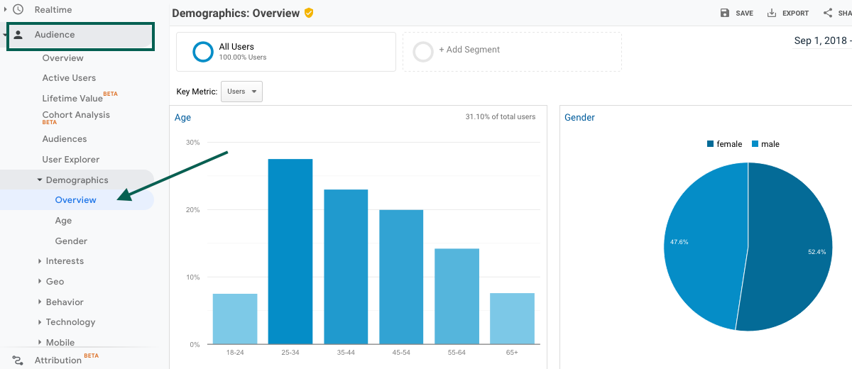 Demographics overview in Google Analytics