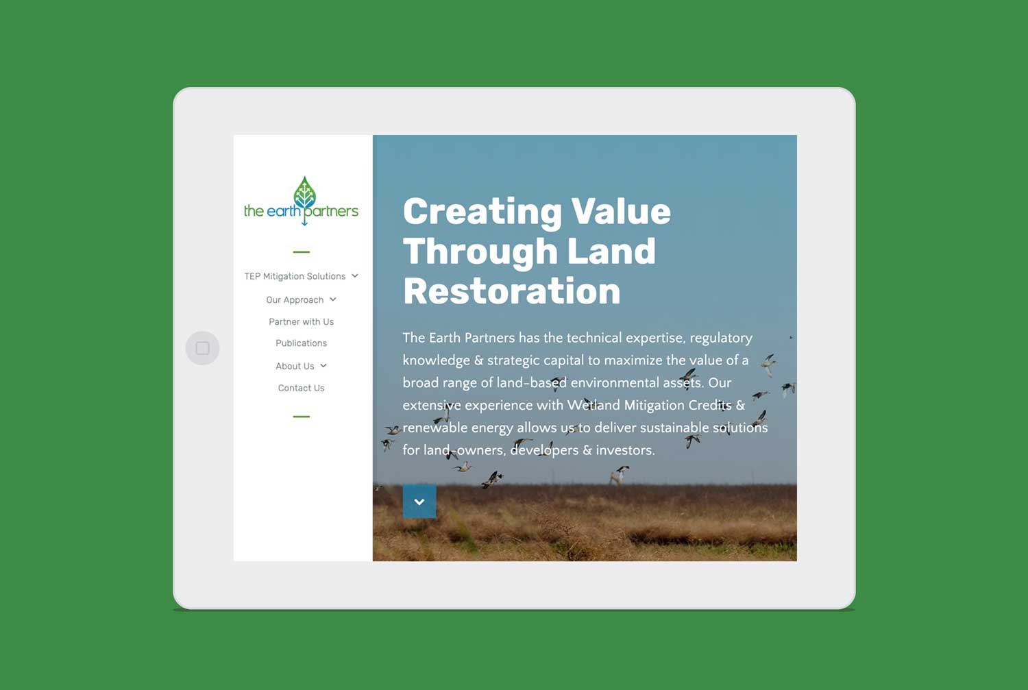 The Earth Partners Website