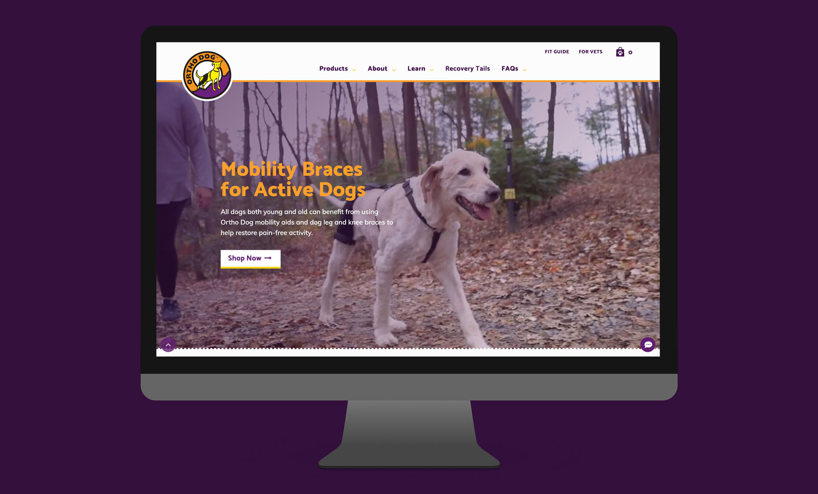 Ortho Dog home page hero view