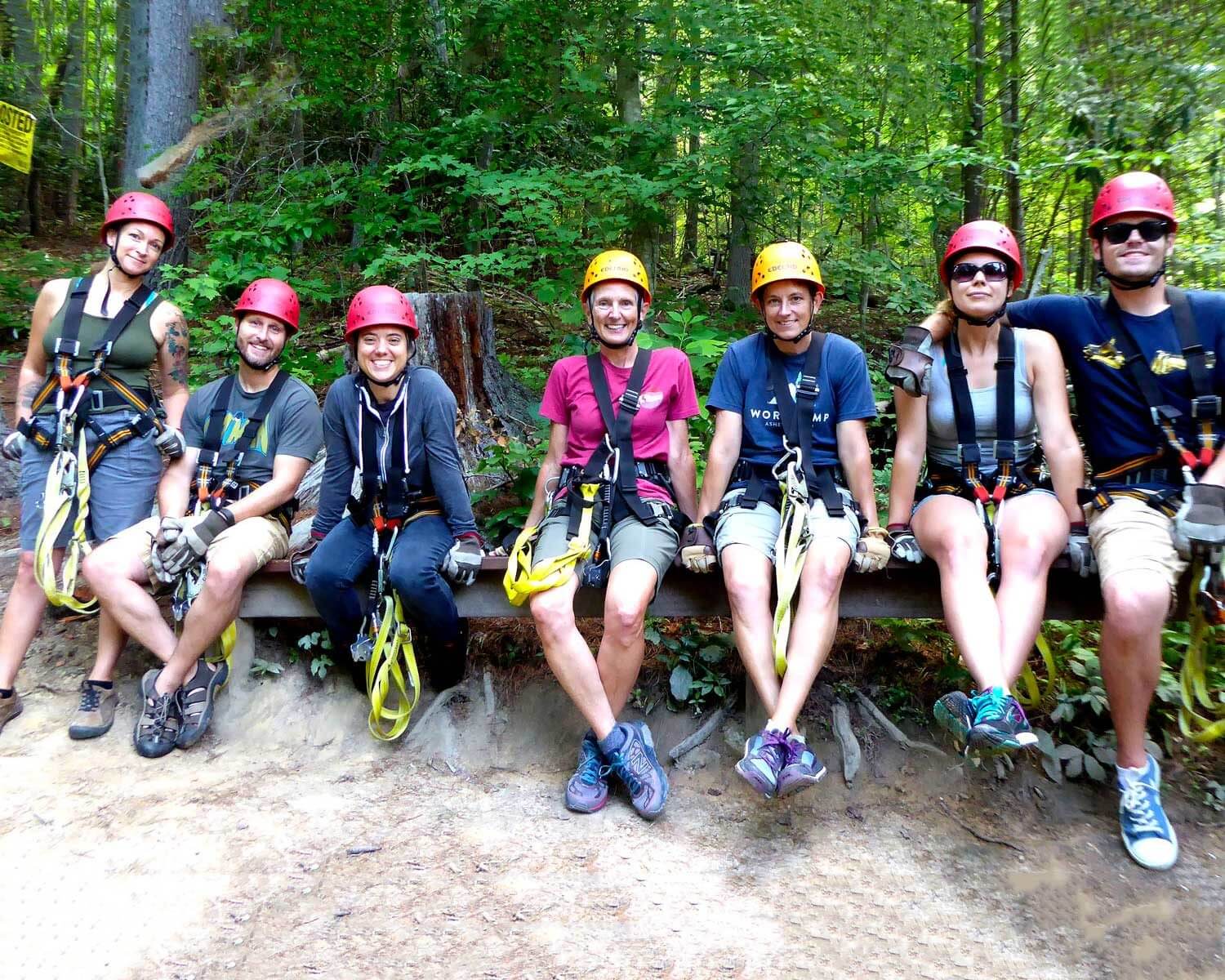 Status Forward Crew Ziplining at French Broad Adventures